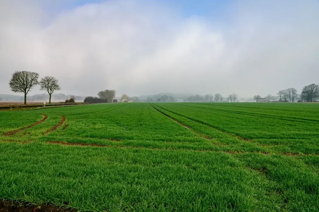 Greenfield Arable 1