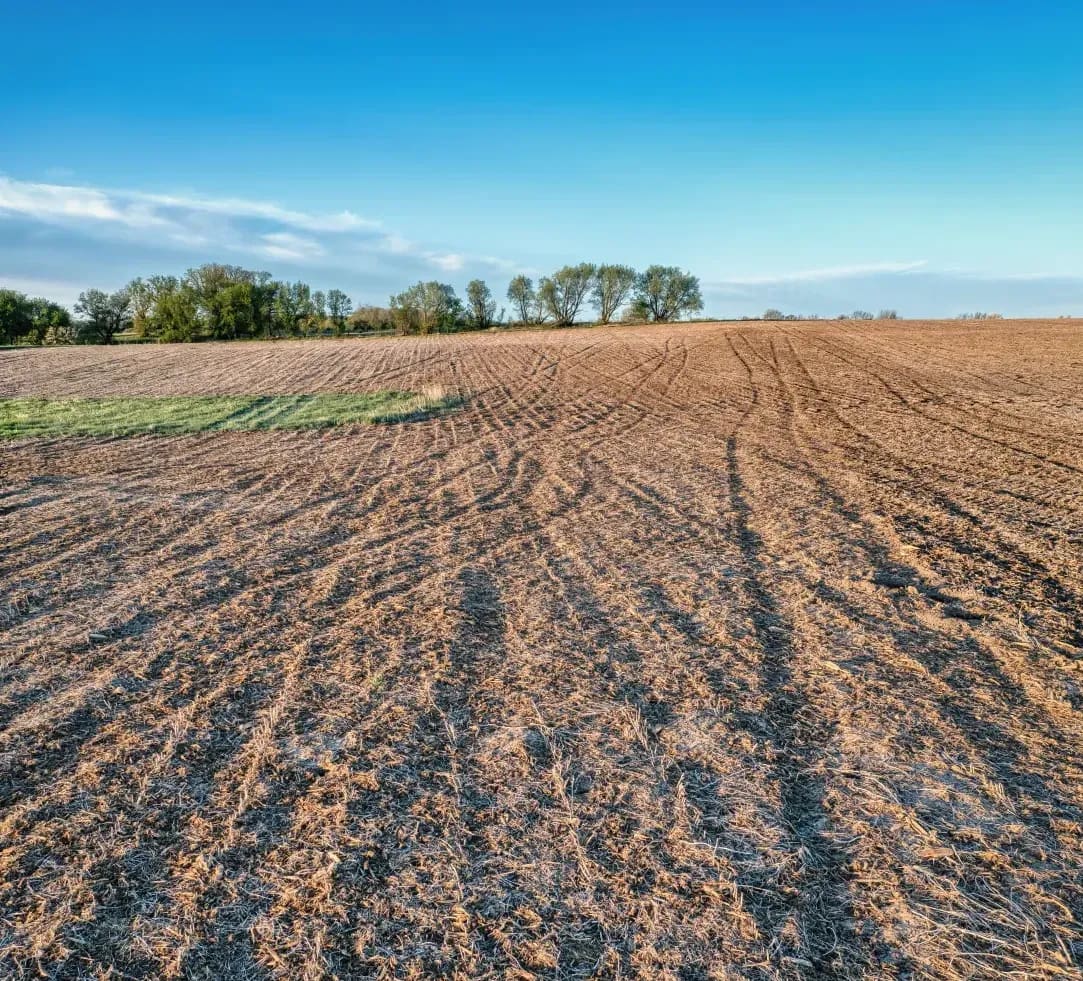 Greenfield Arable 5