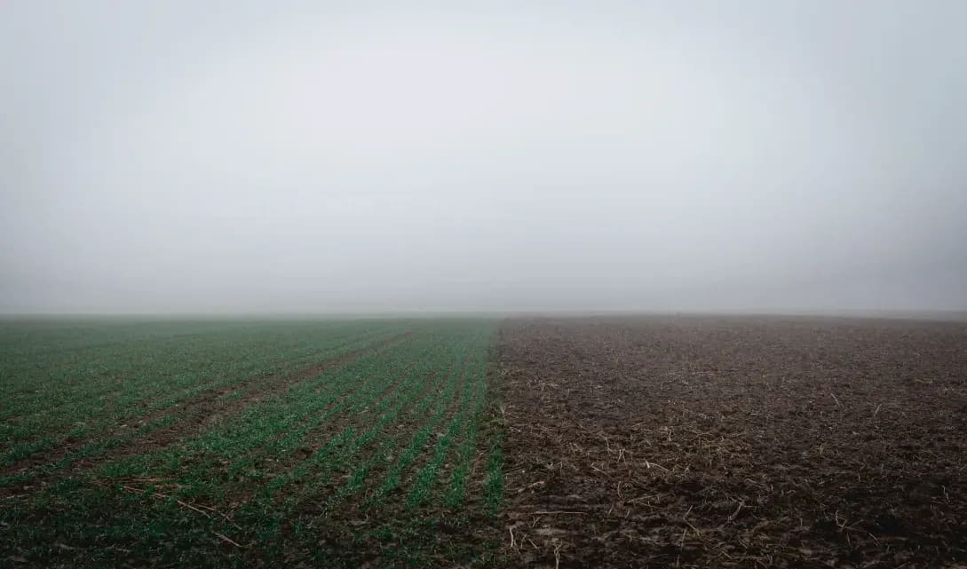 Crop establishment and drilling support